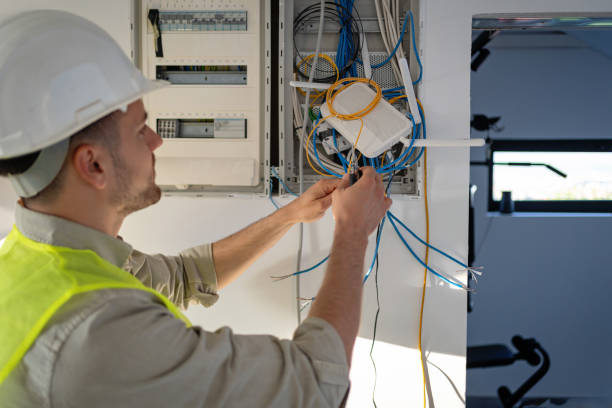 Best Electric Panel Repair  in Danville, AR
